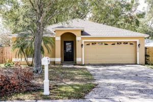 1316 Brahma Dr, VALRICO