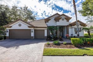 2898 Grey Oaks Blvd, TARPON SPRINGS