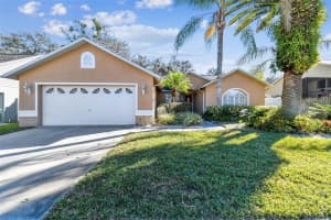 7026 Woodibis Dr, NEW PORT RICHEY