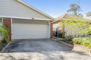 9818 Blue Sage Rd, TAMPA