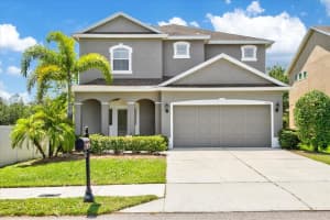 7704 Landcare Ln, TAMPA