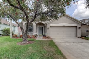 14315 Moon Flower Dr, TAMPA 14315 Moon Flower Dr, TAMPA