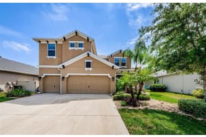 1265 Windy Bay Shl, TARPON SPRINGS