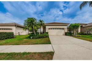 4377 Live Oak Blvd, PALM HARBOR