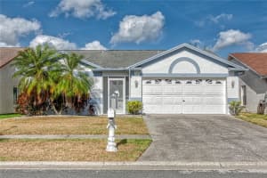 10106 Sea Spray Pl, TAMPA