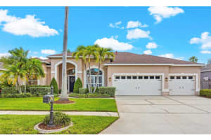 12020 Wandsworth Dr, TAMPA