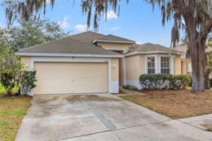 11223 Avery Oaks Dr, TAMPA 11223 Avery Oaks Dr, TAMPA
