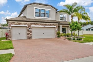 10433 Arbor Groves Pl, RIVERVIEW
