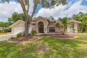 3672 Windber Blvd, PALM HARBOR