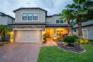 8009 Arbor Park Ln, RIVERVIEW