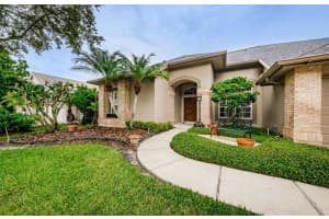 4078 Auston Way, PALM HARBOR