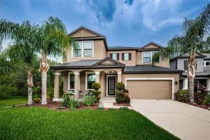 11321 Lazy Hickory Ln, TAMPA