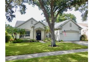 4360 Tremblay Way, PALM HARBOR
