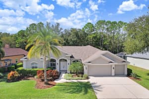 4482 Rockwood Dr, PALM HARBOR