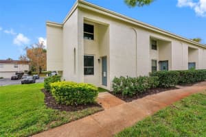 4222 La Palma Ct, TAMPA