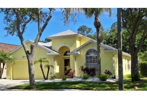 12113 Bishopsford Dr, TAMPA 12113 Bishopsford Dr, TAMPA