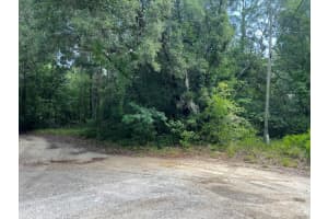 10013 N Holyoak Ter, DUNNELLON