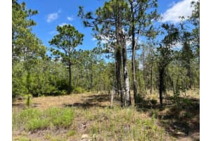 Nw Amberjack Ave #lot #33, DUNNELLON
