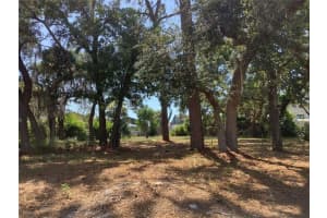 18657 White Pine Cir, HUDSON