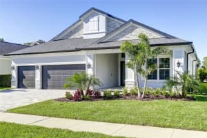 241 5th Ave N, SAFETY HARBOR 241 5th Ave N, SAFETY HARBOR