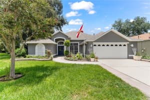 704 June Lake Ln, BRANDON