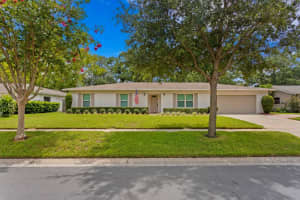 13313 Lake George Ln, TAMPA