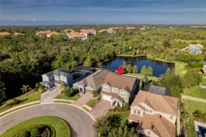 8006 Red Orchard Ct, TAMPA