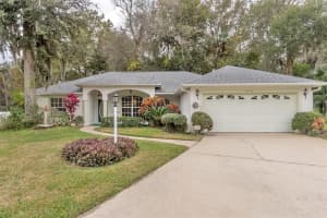 3659 Gold Nugget Ct, PORT ORANGE