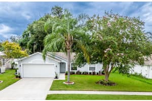 1310 Island Cove Dr, DELAND