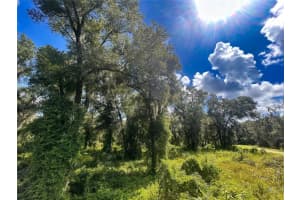 Emerald Woods Way, DELAND