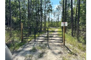 3789 Pine Pitch Ct, ORMOND BEACH