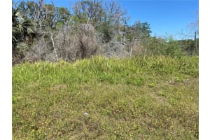 Parcel No 25 17 32 01 02 0280, NEW SMYRNA BEACH