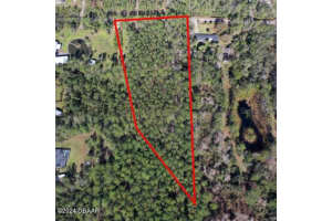 3653 Conifer Ln, ORMOND BEACH
