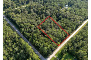 5003 Willow Ln, BUNNELL