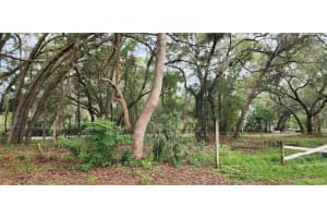 711 Sunset Ave, ORANGE CITY 711 Sunset Ave, ORANGE CITY