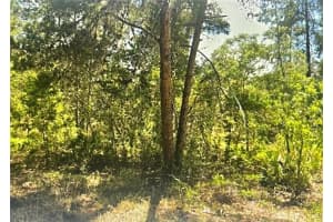 10 Dracaena Ct, HOMOSASSA