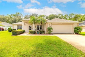 73 Spring Meadows Dr, ORMOND BEACH