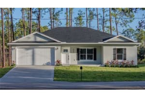 463 Eldron Ave, DELTONA