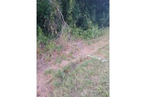 88 Dirksen Dr, DEBARY