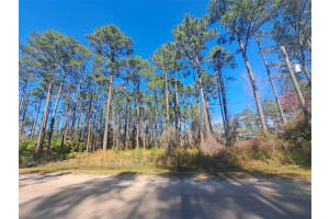 5146 Lime Ave, BUNNELL