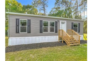 171 W Hagstrom Rd, PIERSON 171 W Hagstrom Rd, PIERSON