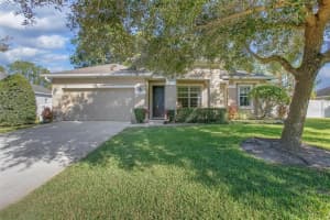 703 Ostrich Fern Ln, DELAND 703 Ostrich Fern Ln, DELAND