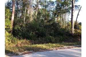 1545 10th Ave, DELAND 1545 10th Ave, DELAND