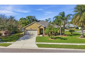 740 Grape Ivy Ln, NEW SMYRNA BEACH 740 Grape Ivy Ln, NEW SMYRNA BEACH