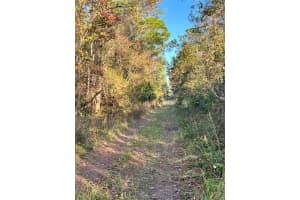 University Highlands/ Deland Crossings, DELAND