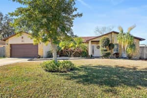 3622 Dame St, PORT ORANGE