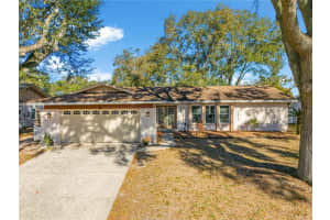 2843 Oak Tree Ln, PALM HARBOR