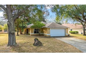 29 Sherrington Dr, ORMOND BEACH 29 Sherrington Dr, ORMOND BEACH