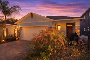 365 Caryota Ct, NEW SMYRNA BEACH