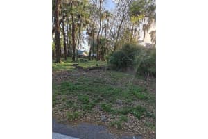 2214 Needle Palm Dr, EDGEWATER